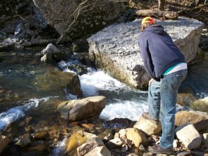 418393_400478923339588_653039641_n