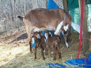 26461_1371733689655_3812676_n