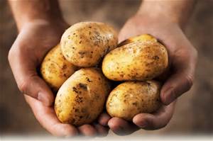 potatoes