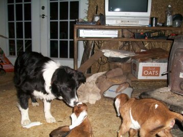 26461_1371733889660_2406430_n